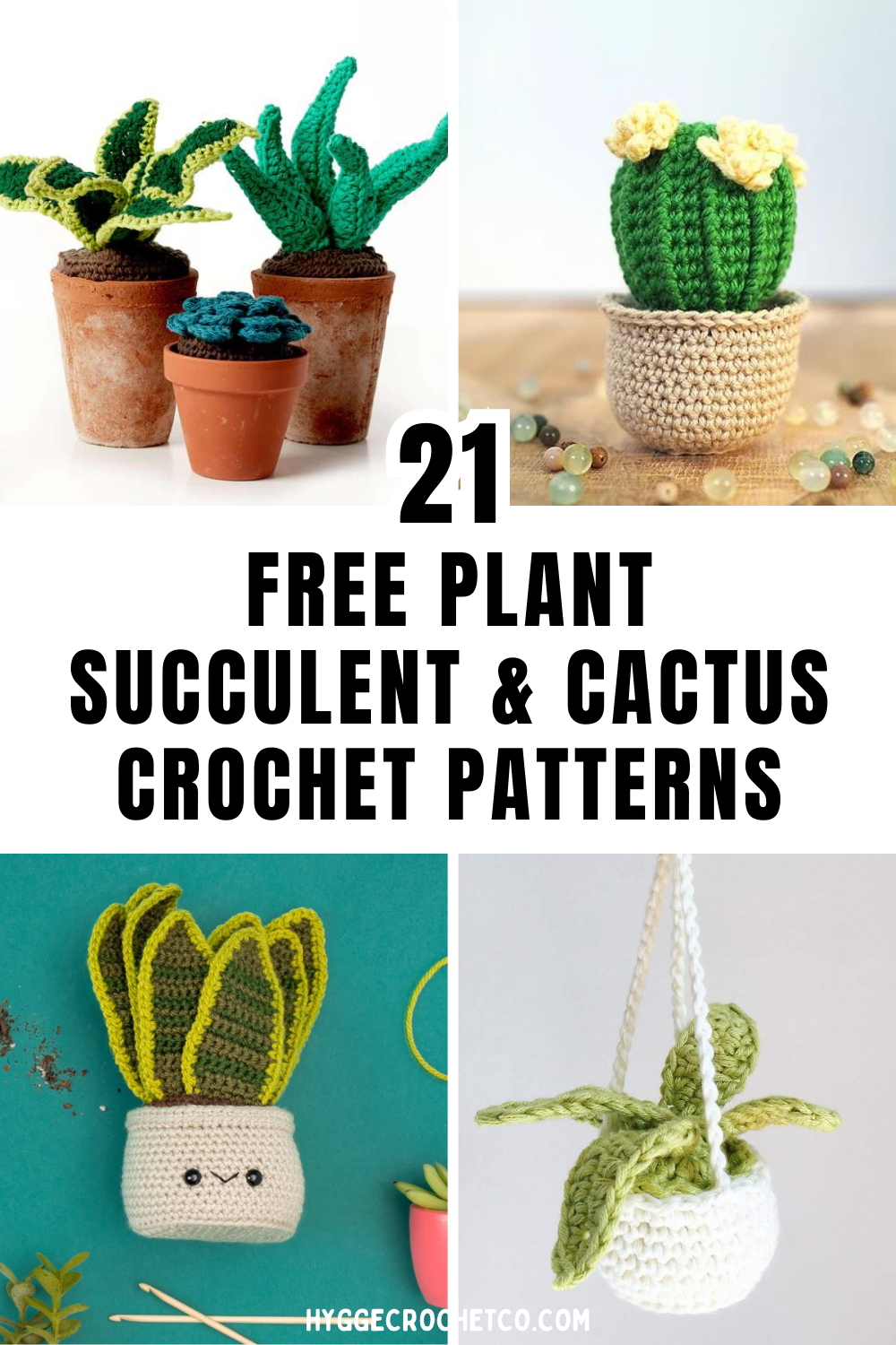 21 Free Crochet Plant, Cactus, and Succulent Patterns - Hygge Crochet Co.